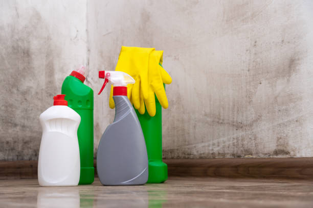 Why You Should Choose Our Mold Remediation Services in Fillmore, UT